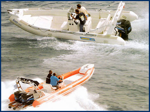 DR 6.50